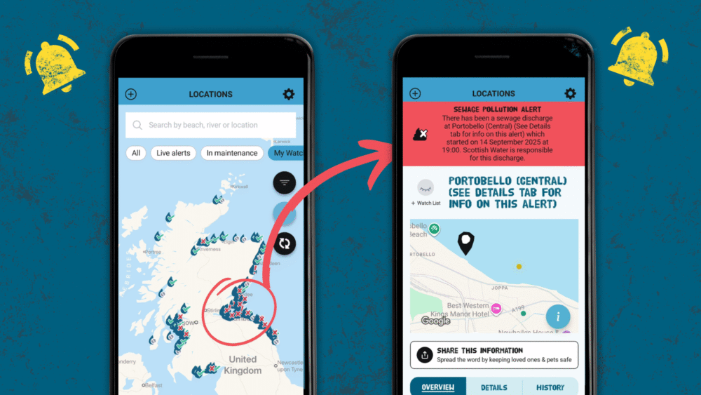 Example location check using the SSRS app